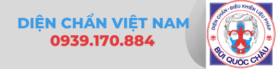 DIỆN CHẨN VIỆT NAM